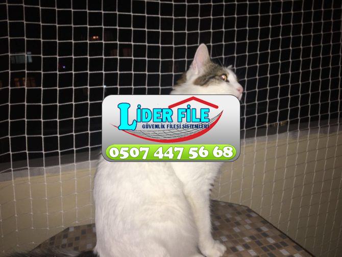   Kedi Koruma Filesi 0507 447 56 68